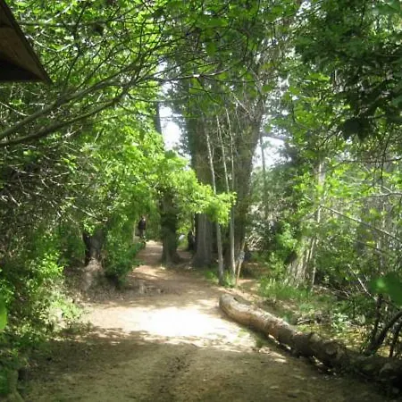 Beautiful Alamedas * Castronuno
